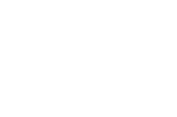 Footer Logo VehicleCircle